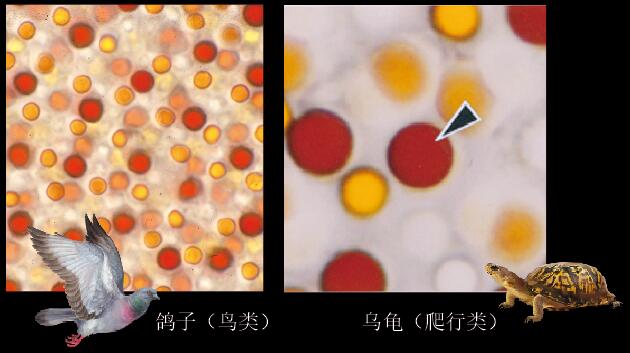 201603p96_f2.jpg