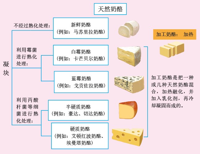 20130274奶酪_f2.jpg