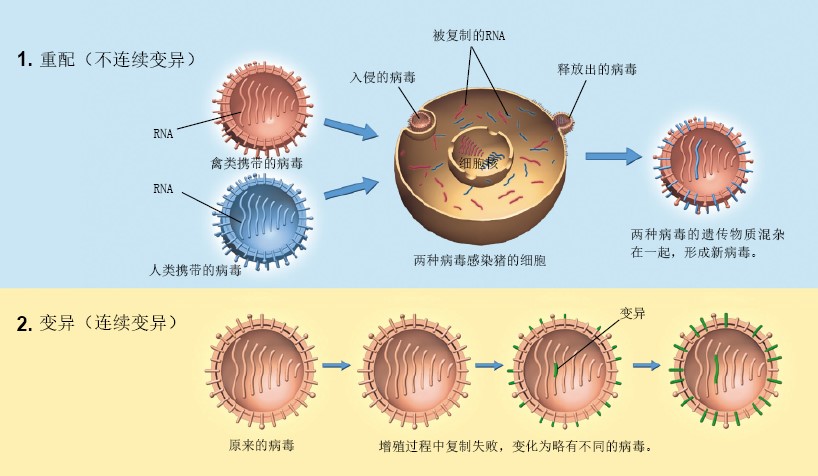 20130511中科院专家详解H7N9-下_f1.jpg