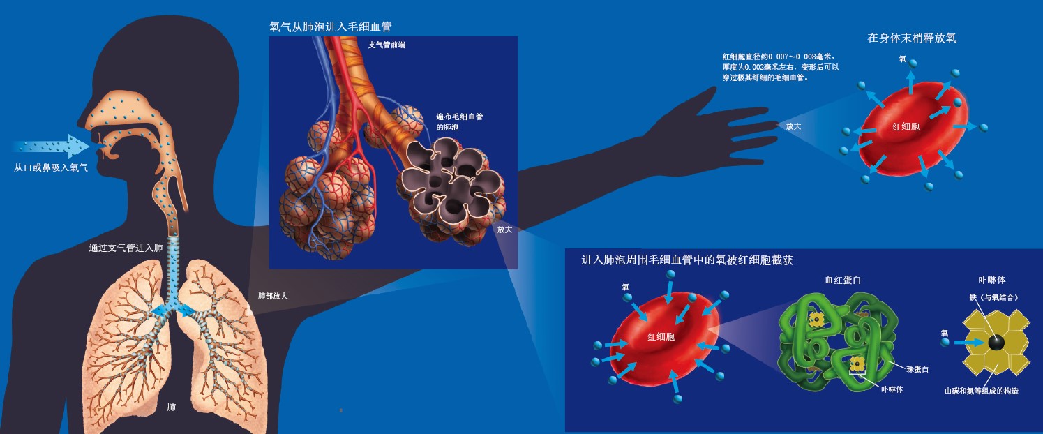 20130530氧气搬运工_f1.jpg