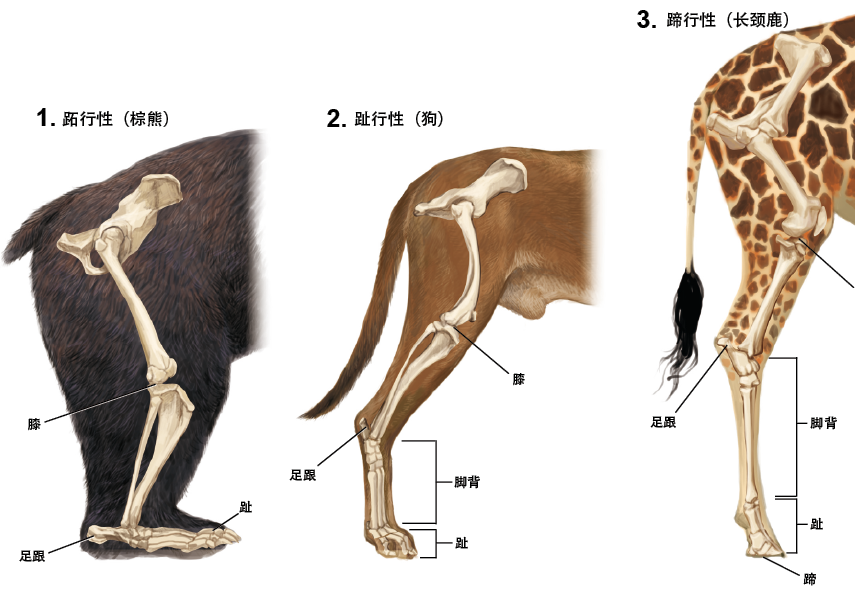 201610p59_f1.png