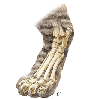201610p59_f2.png