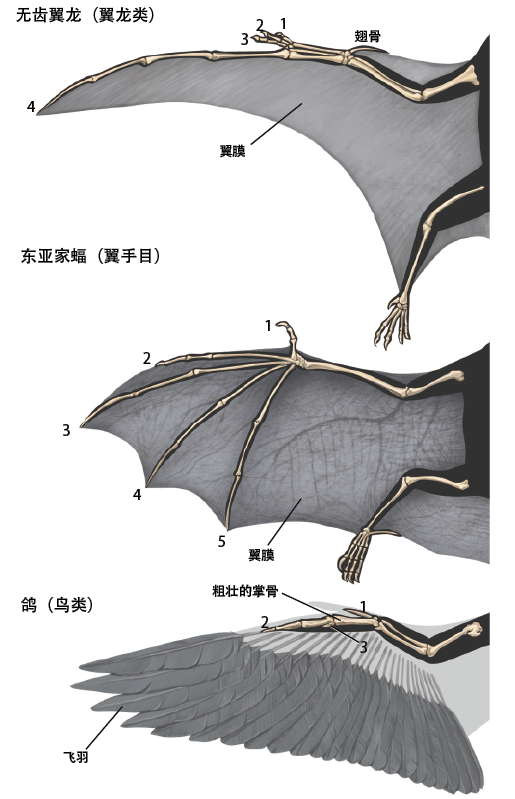 201610p62_f1.png