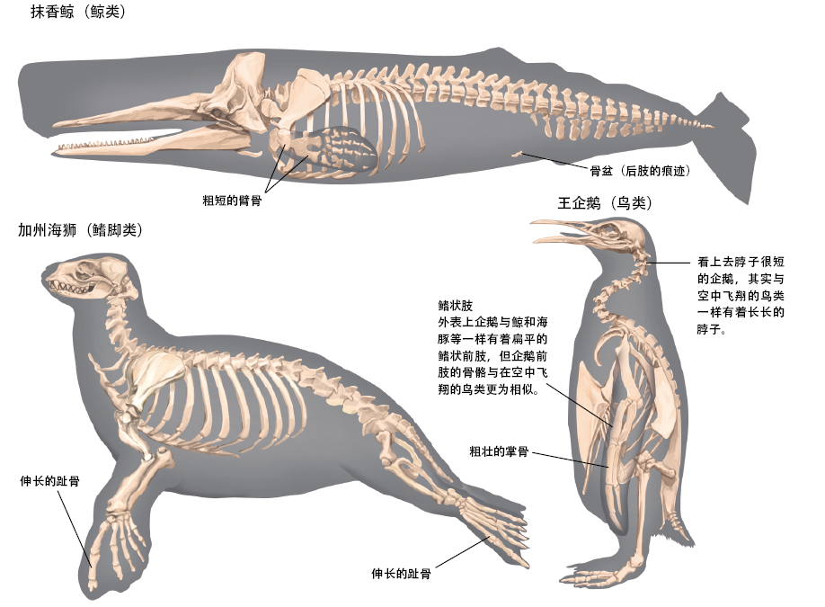 201610p62_f2.png