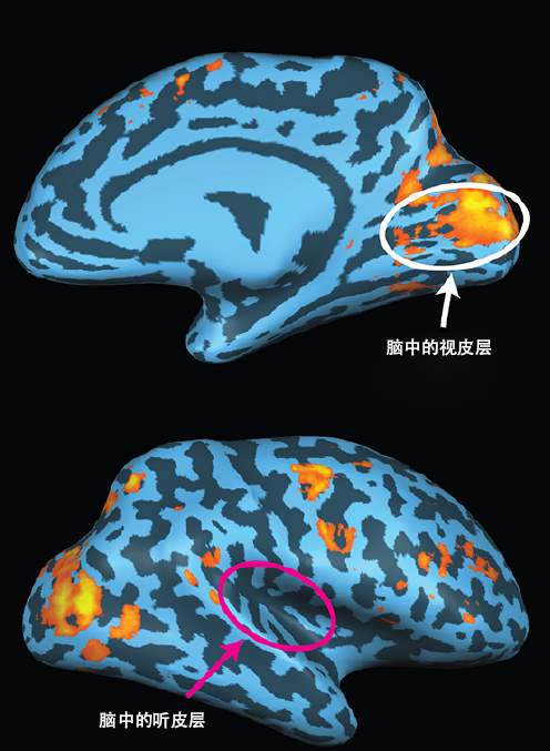 201611p68_f2.png