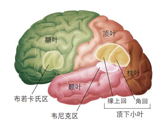 201105p50_f2.jpg