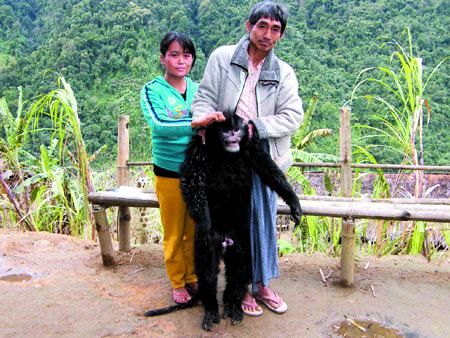 201106p59_f3.jpg
