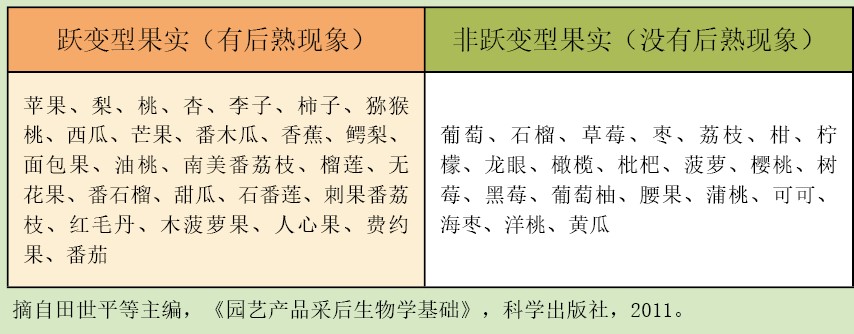 20130970水果应如何保鲜-中.jpg