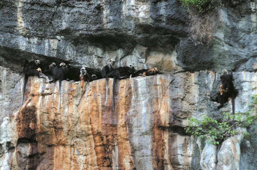 201107p44_f2.jpg