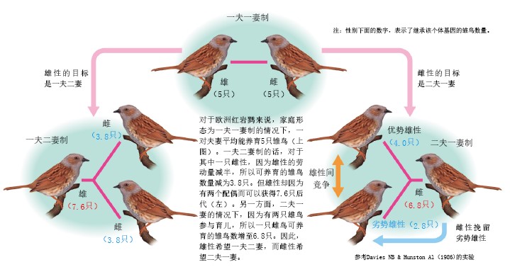 20131138形形色色的动物家庭-中.jpg