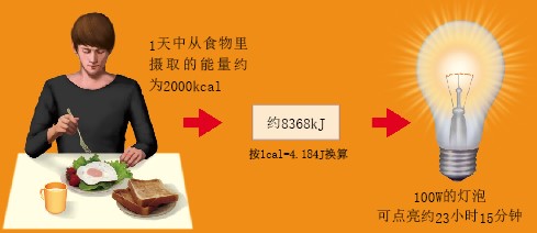 20131188能量.jpg