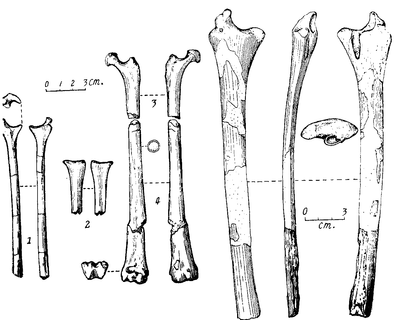 201108p26_f2.jpg
