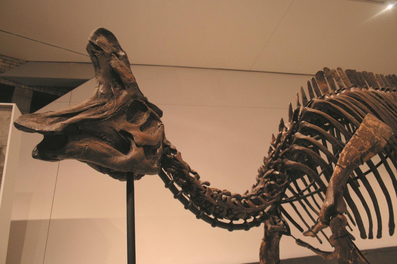 201108p28_f2.jpg
