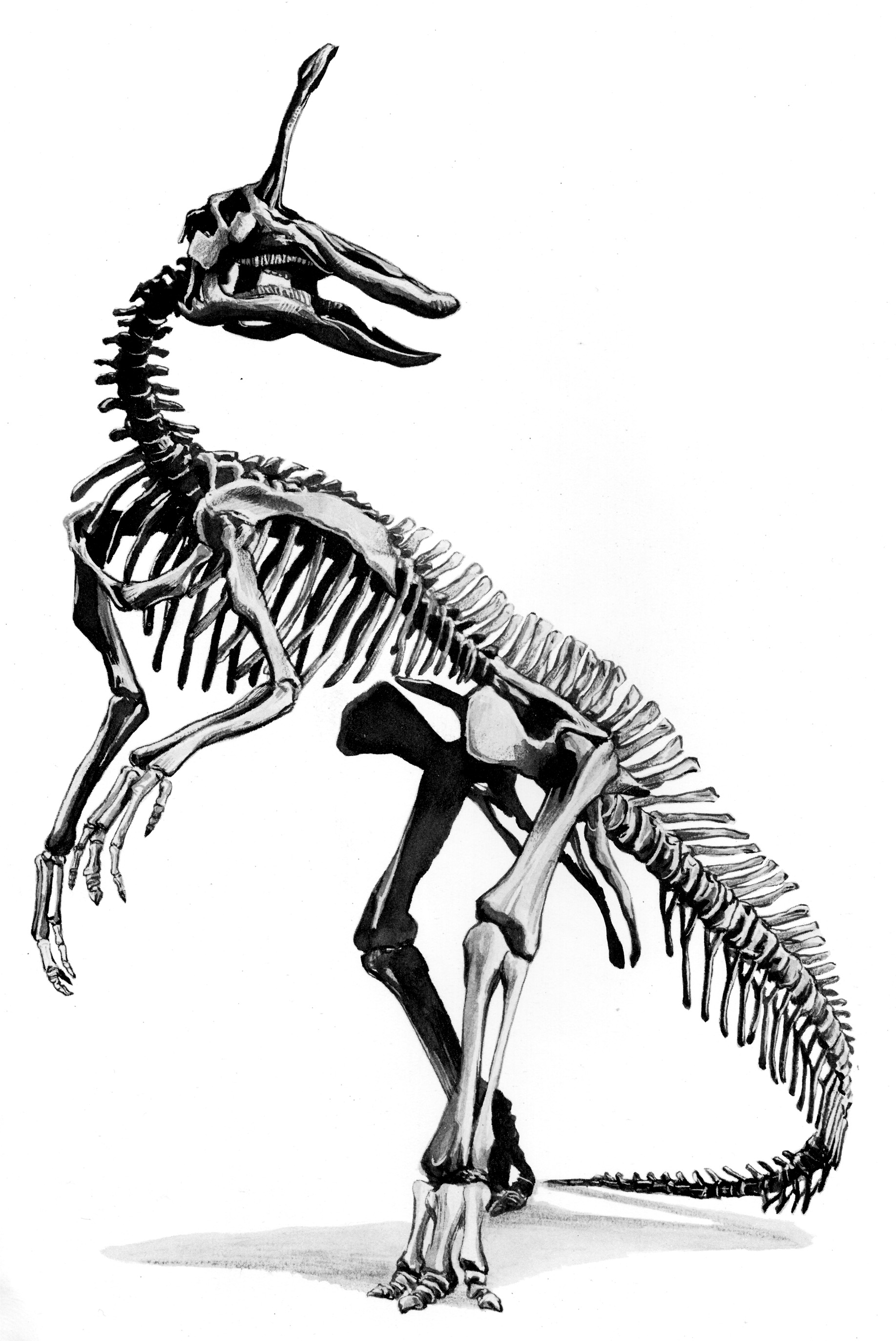 201108p32_f1.jpg