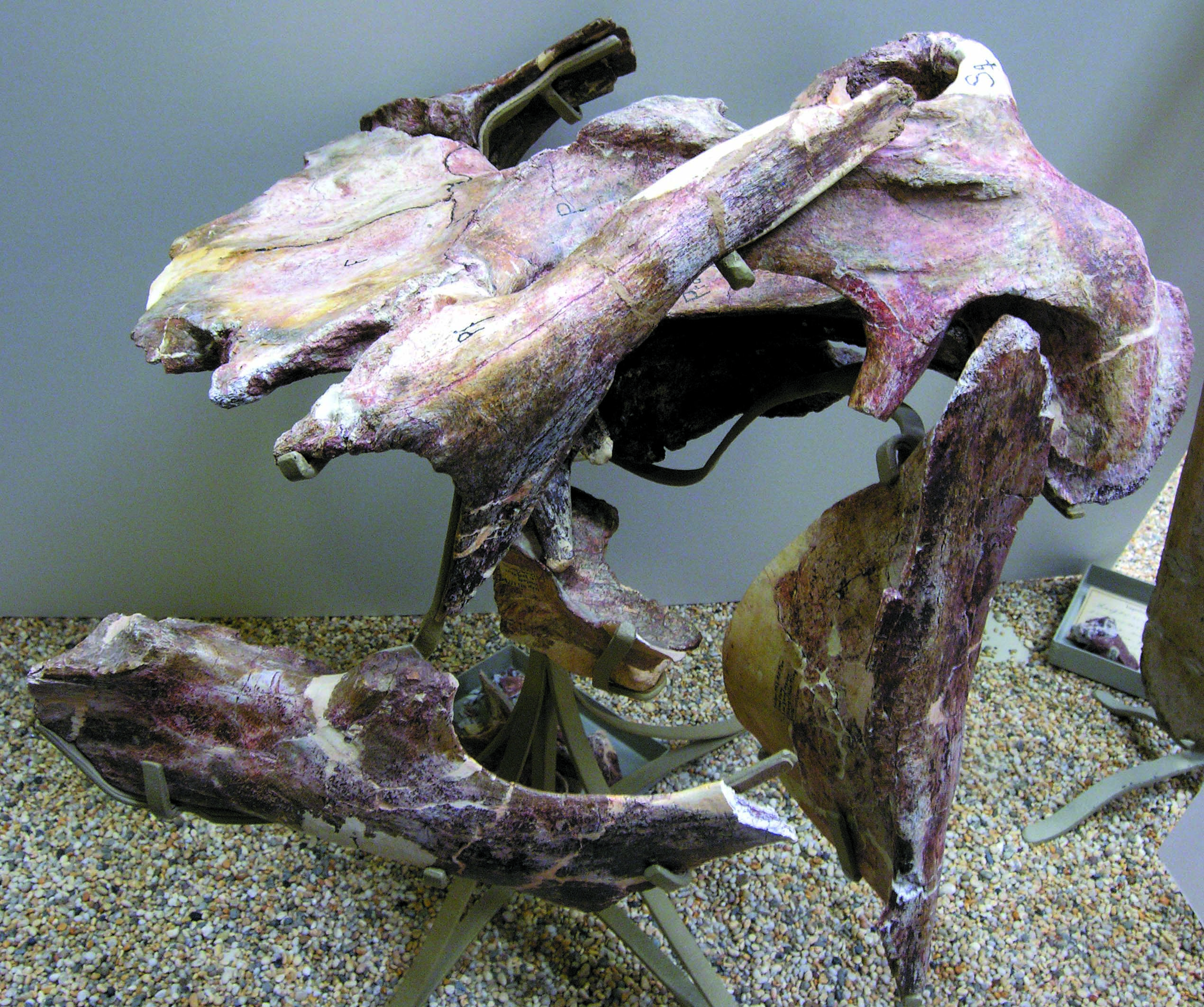 201108p32_f3.jpg