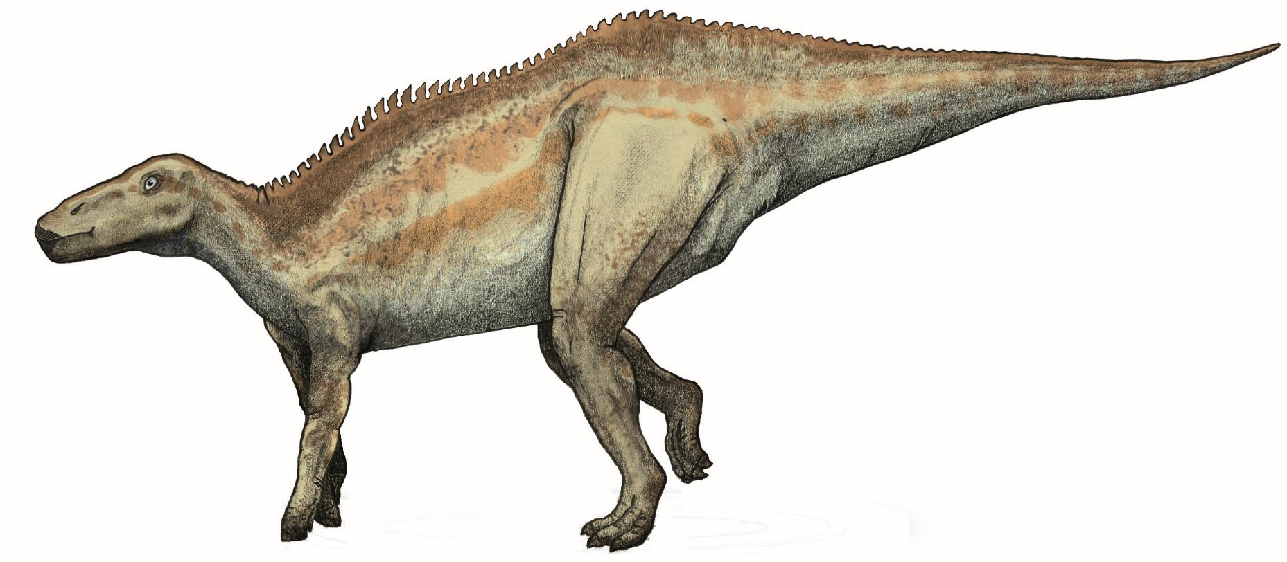 201108p35_f2.jpg