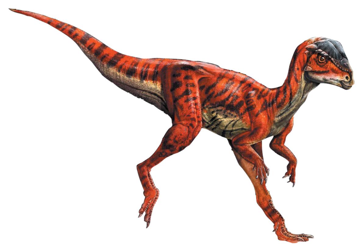 201108p35_f3.jpg