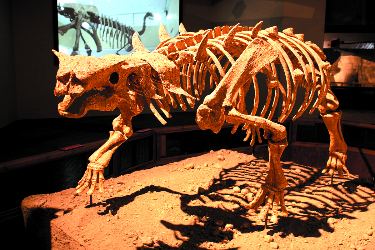 201108p35_f4.jpg