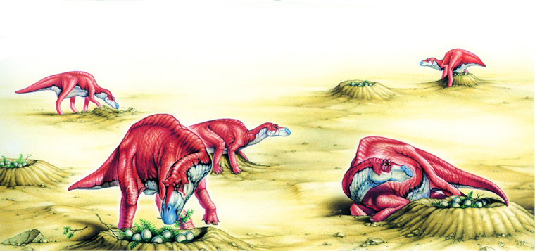 201108p38_f1.jpg