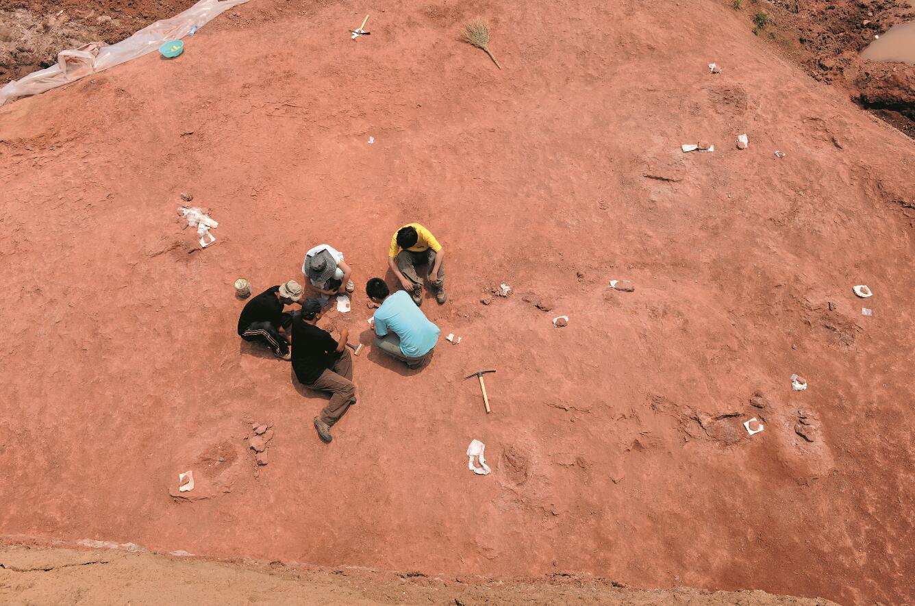 201108p44_f1.jpg