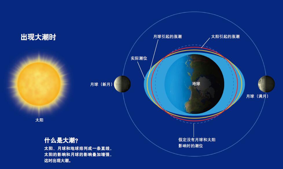 201101p62_f1.jpg