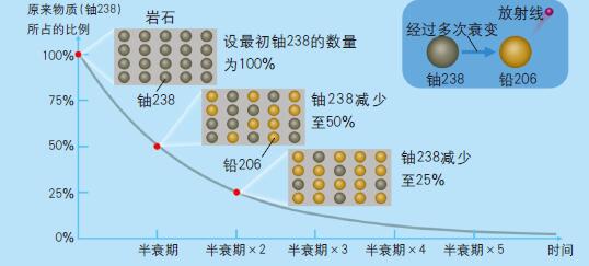 201101p78_f1.jpg