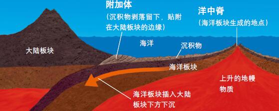 201101p78_f1.jpg