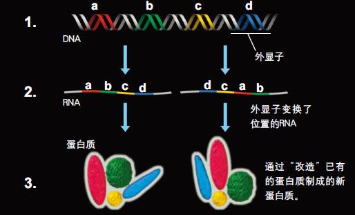 201102p34_f2.jpg