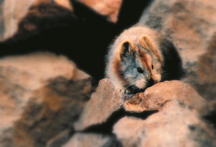 201103p47_f1.jpg