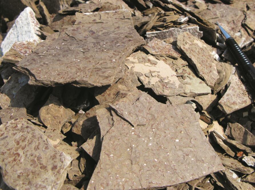 201104p59_f3.jpg
