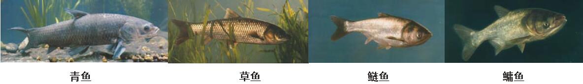 201109p40_f1.jpg