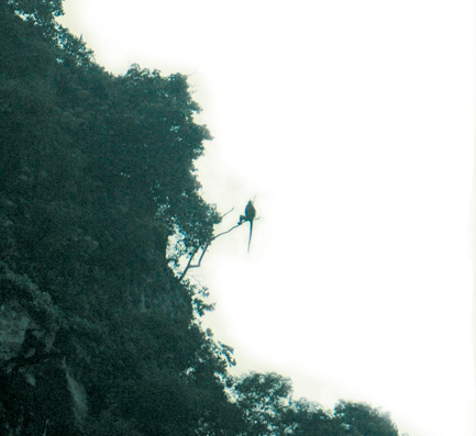 201109p56_f1.jpg