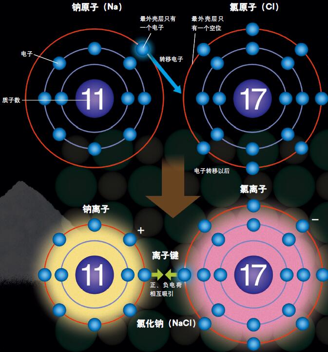 201111p24_f1.jpg
