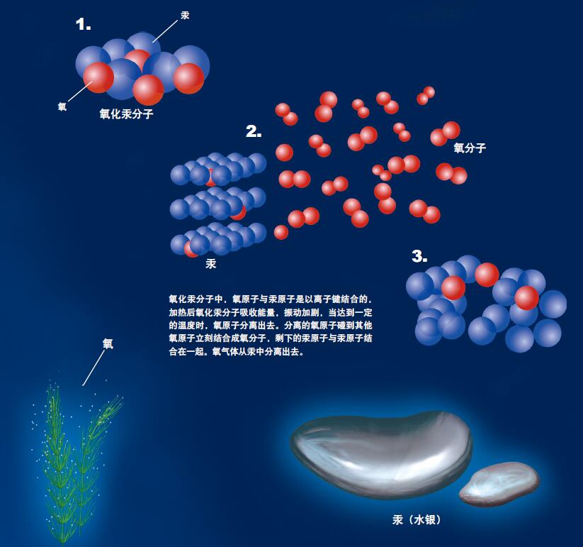 201111p36_f1.jpg