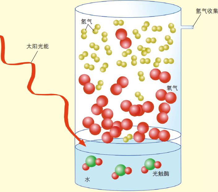 201111p40_f2.jpg