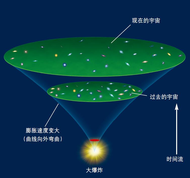 201111p53_f2.jpg
