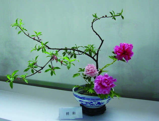20100434牡丹插花：富贵之花开案头.jpg