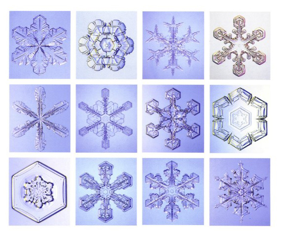 各式各样的雪花.jpg